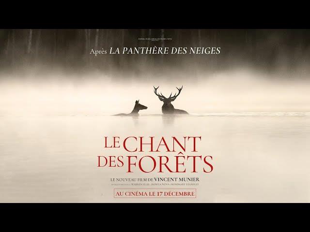 Tatteljee Filmontbijt: Le Chant des Forêts